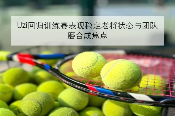 Uzi回归训练赛表现稳定老将状态与团队磨合成焦点